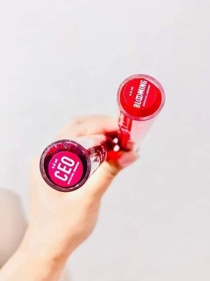 Brilliant Skin Colours Lip & Cheek Tint Duo (CEO & BLOOMING)