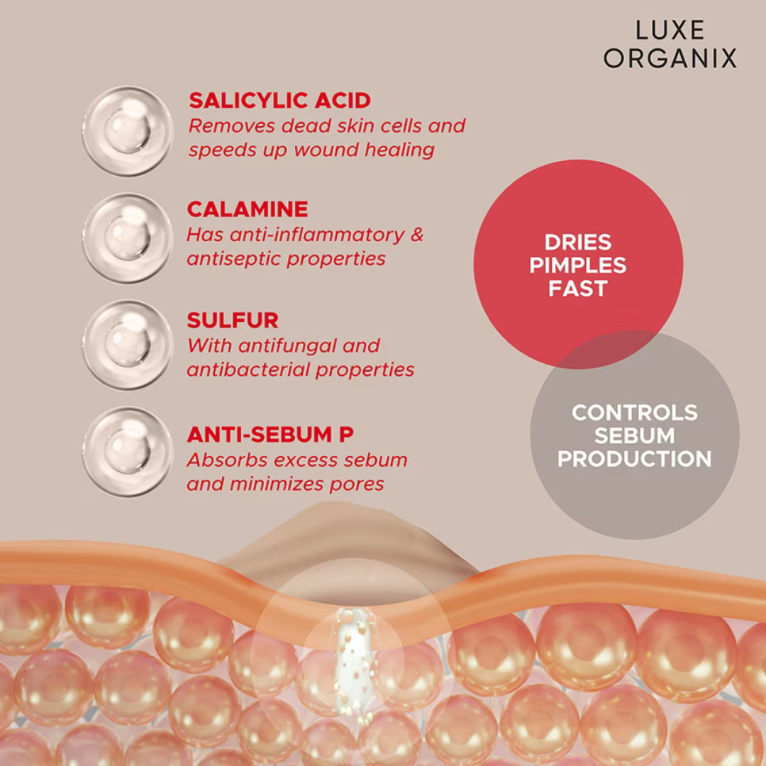 LUXE ORGANIX 2in1 Acne Recue Mud Powder 9g