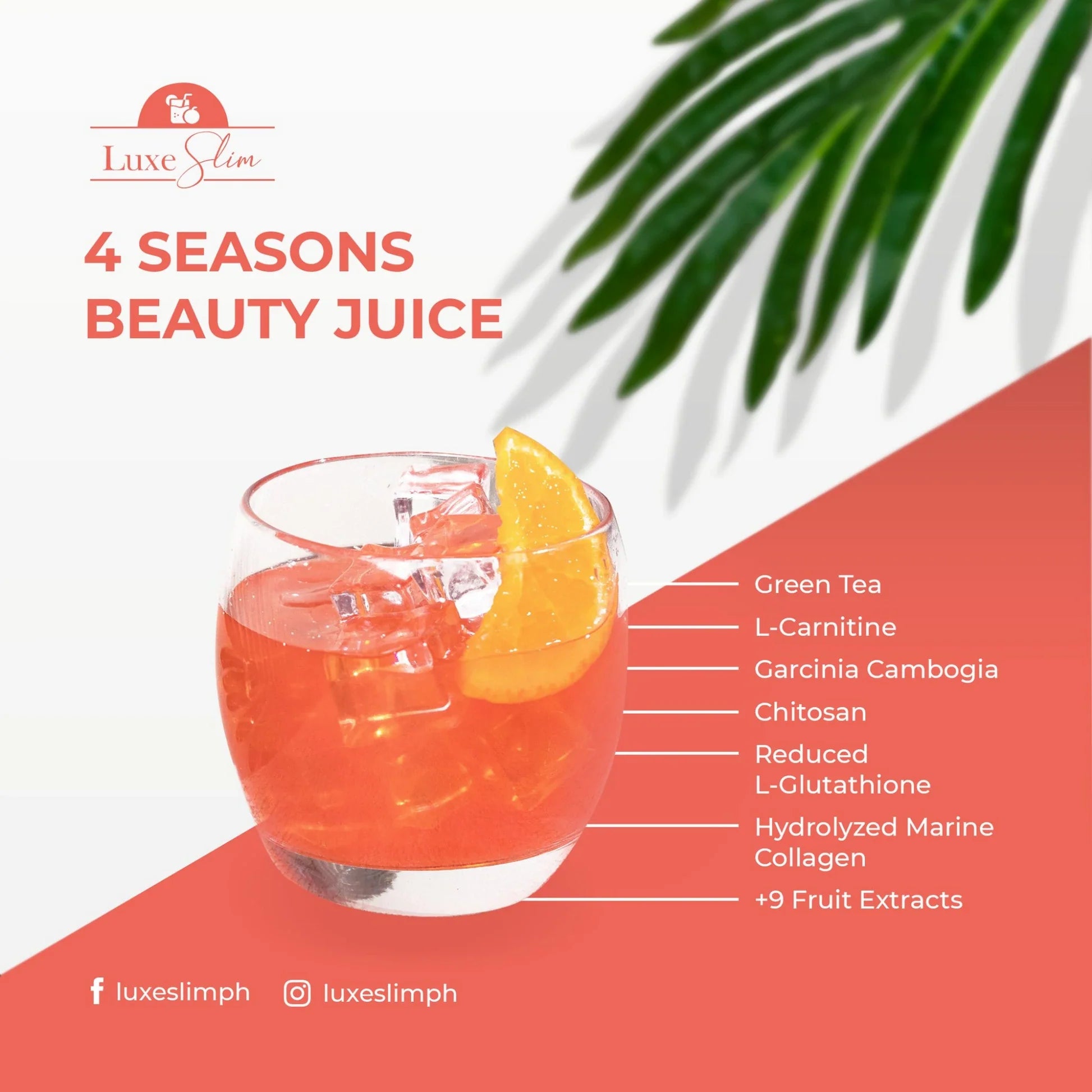 Luxe Slim 4 Seasons Beauty Juice - Half Kilo