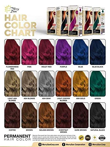Merry Sun Permanent Hair Color - Ash Blonde