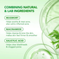 THE ORIGINOTE B3 Clay Stick (Mugwort + Niacinamide) 40g